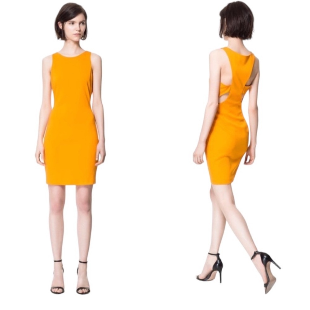 Zara Cutout Back Sheath Mini Dress